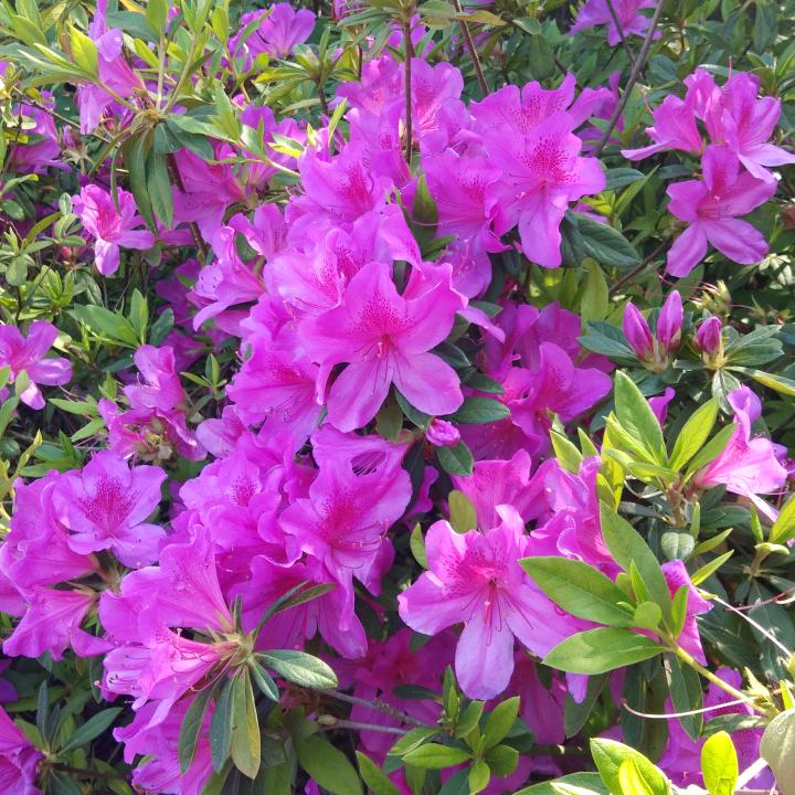 泉州宾势豪杰商贸有限公司