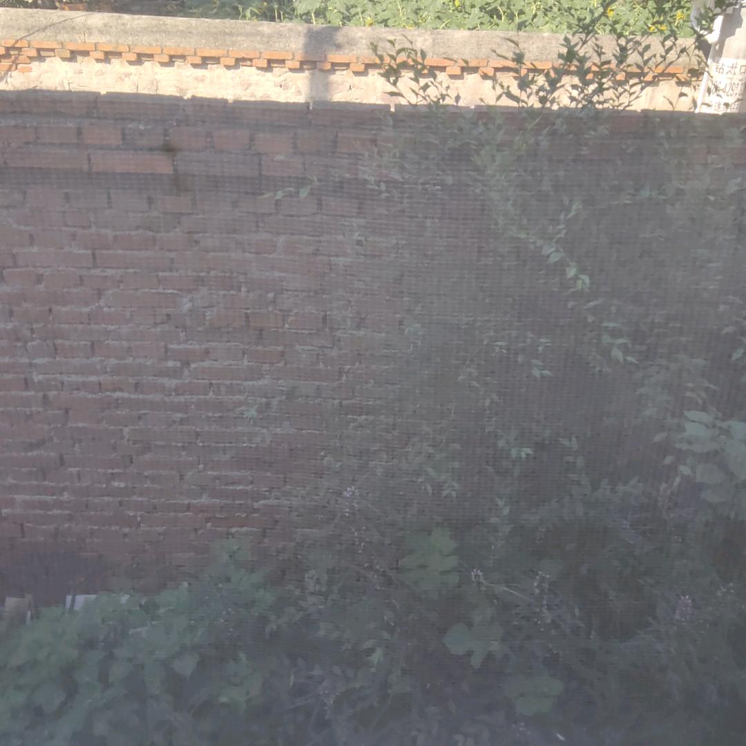 丹气田