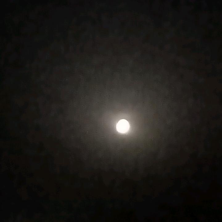 wjl