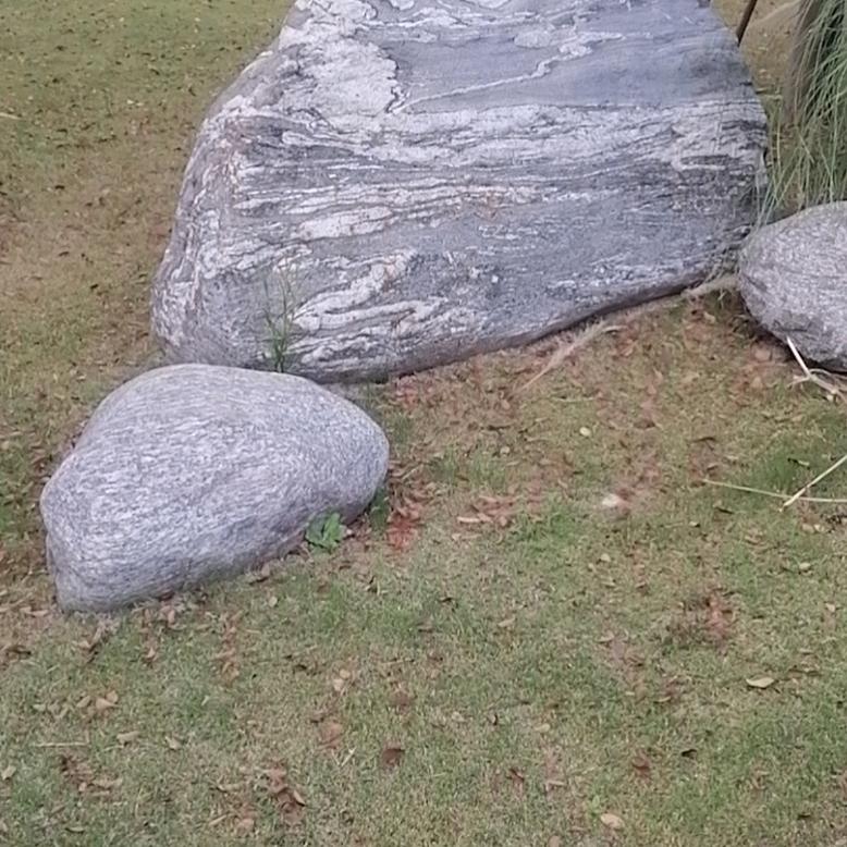 李WZ