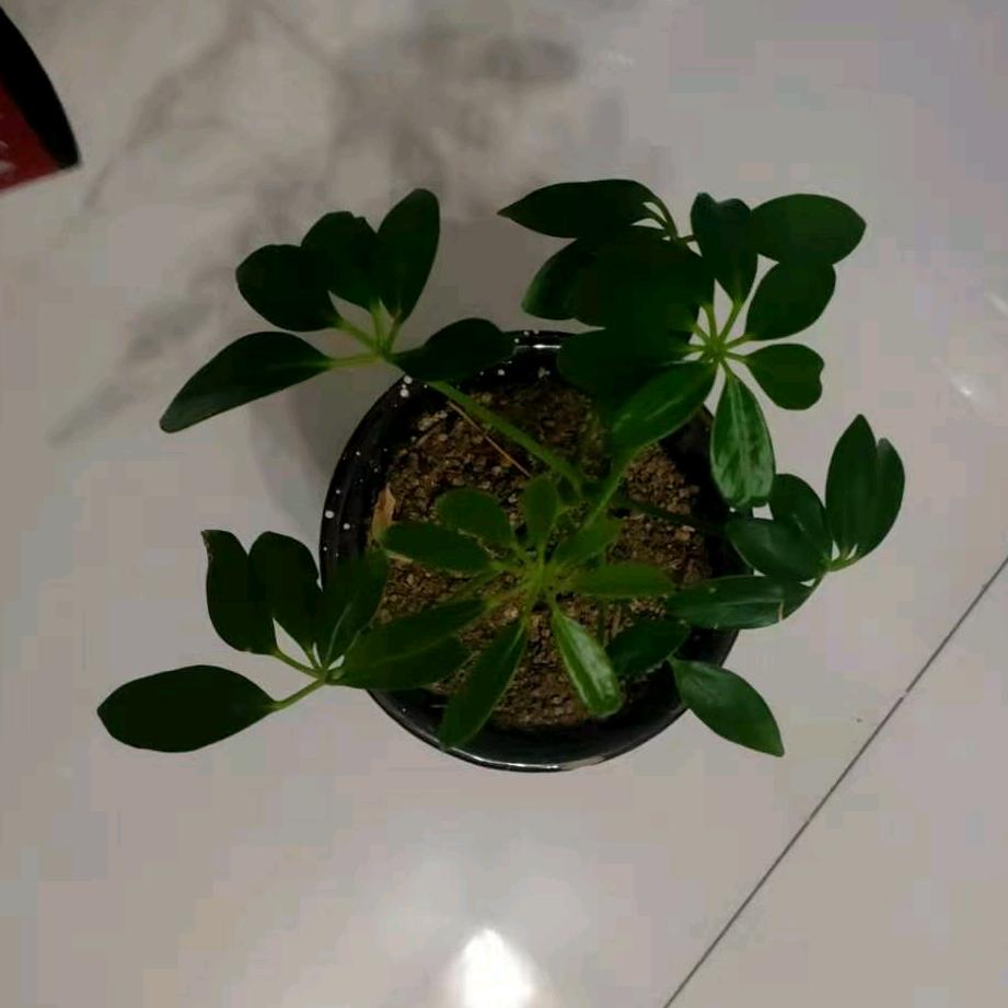 ℋღ᭄幸福🍒᭄💞࿐