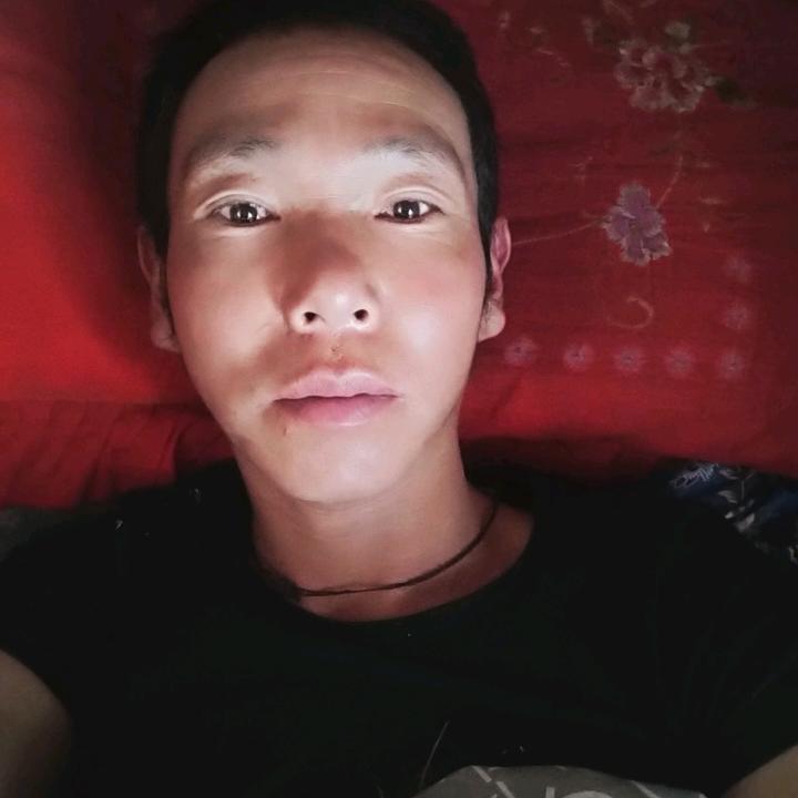 地上虎王