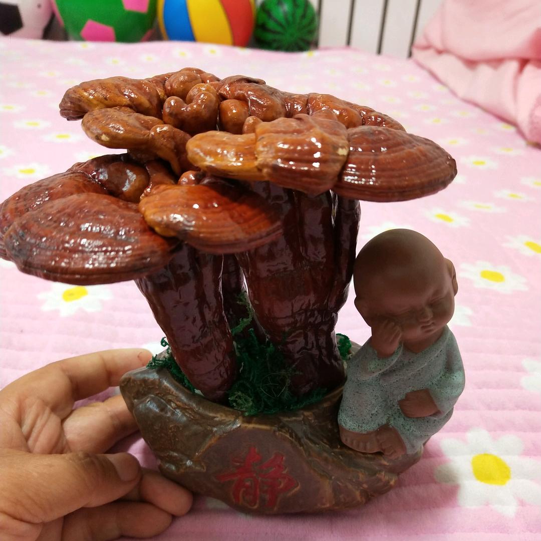 内蒙古鸿运林区特产店