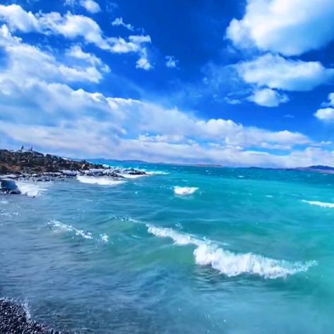 海