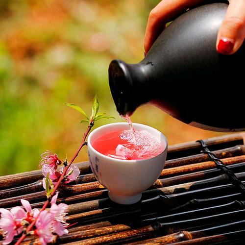 沙漠里的仙人掌