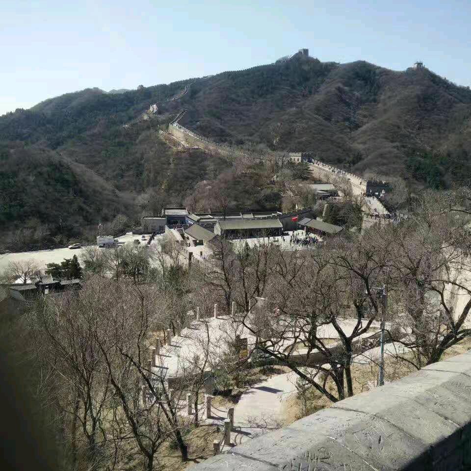 夫子文卓