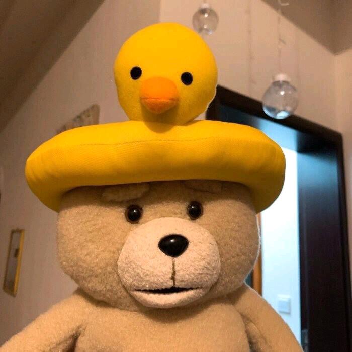 聶