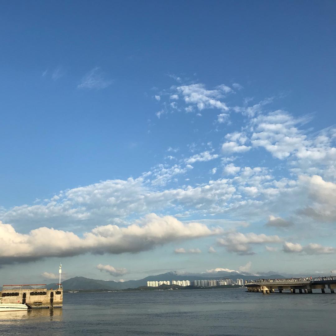 板板儿