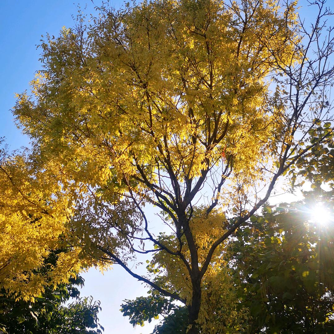 齐永明