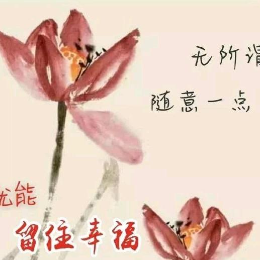 陈晨