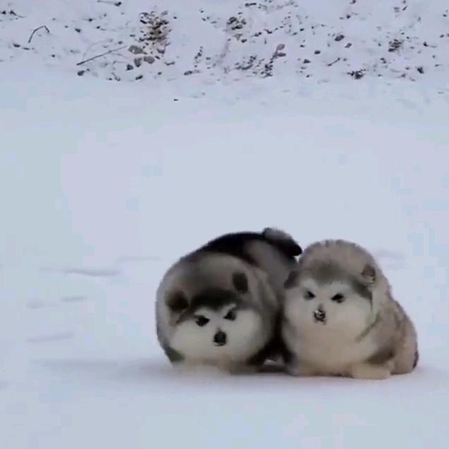 时光倒流