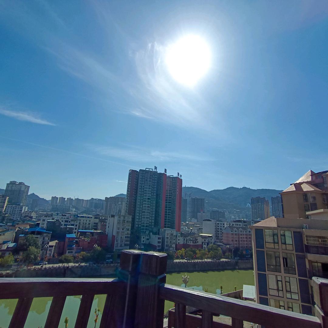 阿树啊
