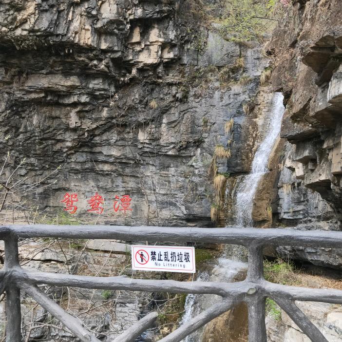 張張張
