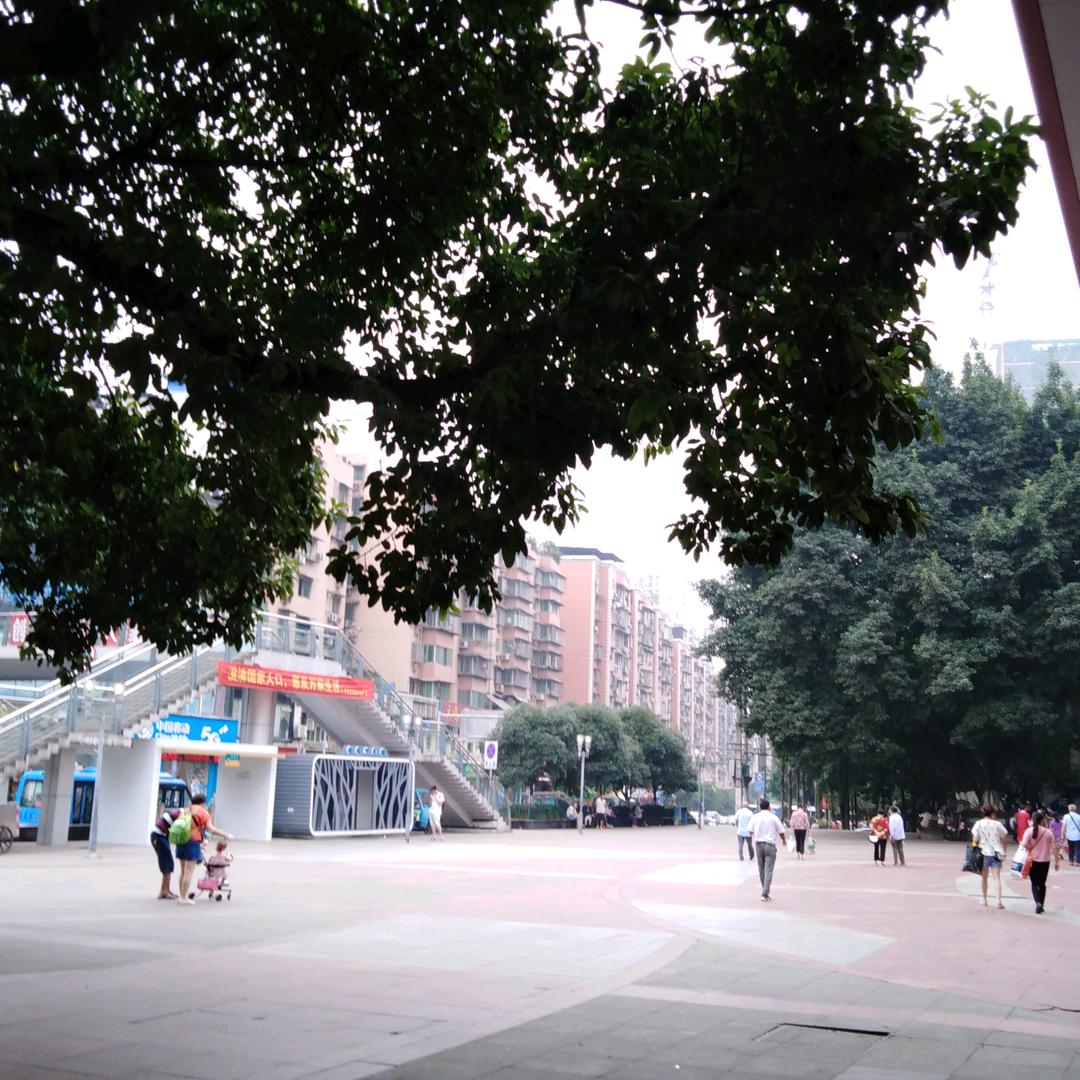 杨三