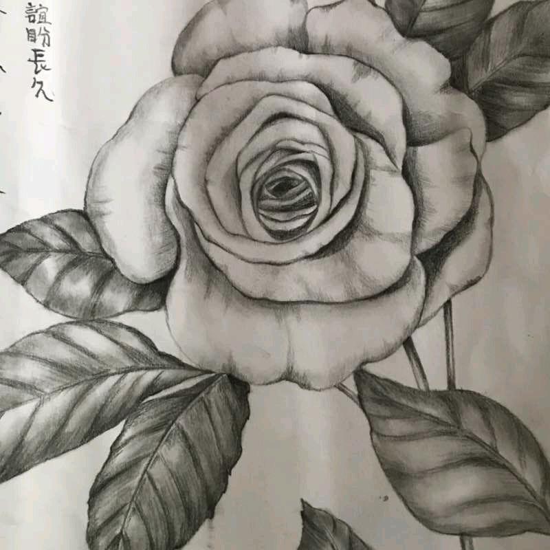 就只喜欢你