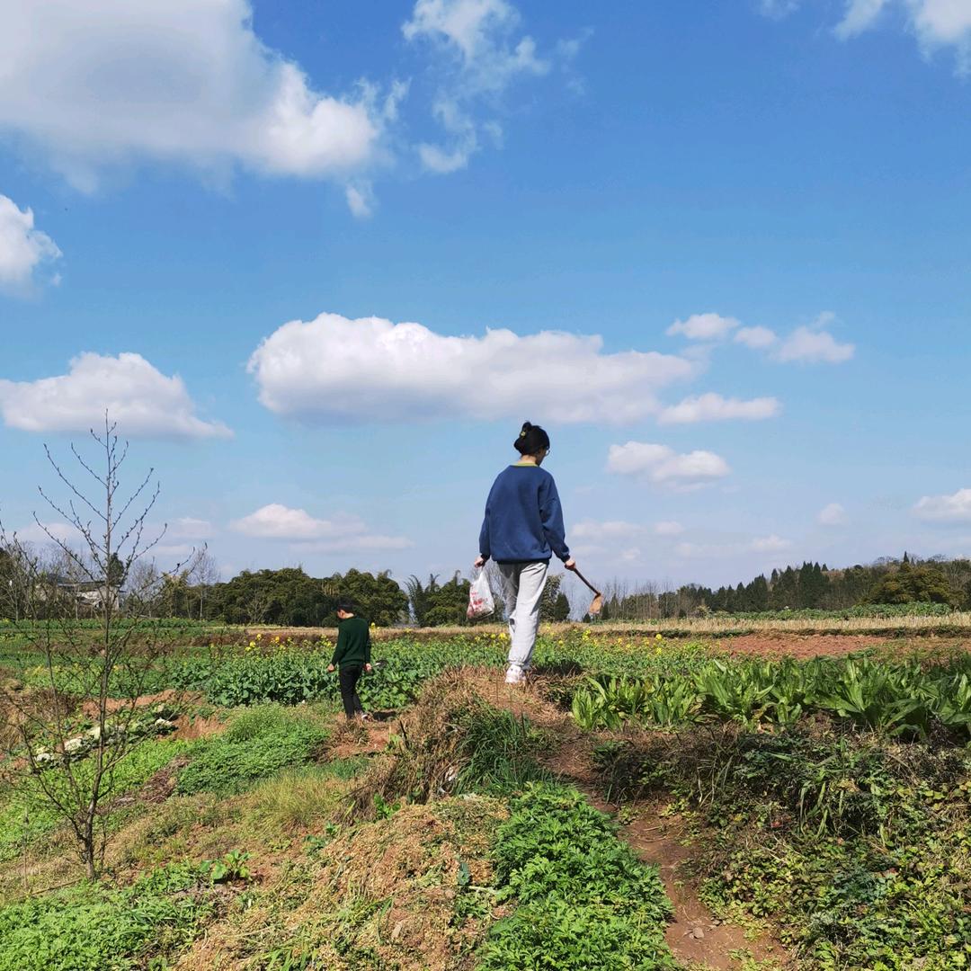 初秋、繁花入梦