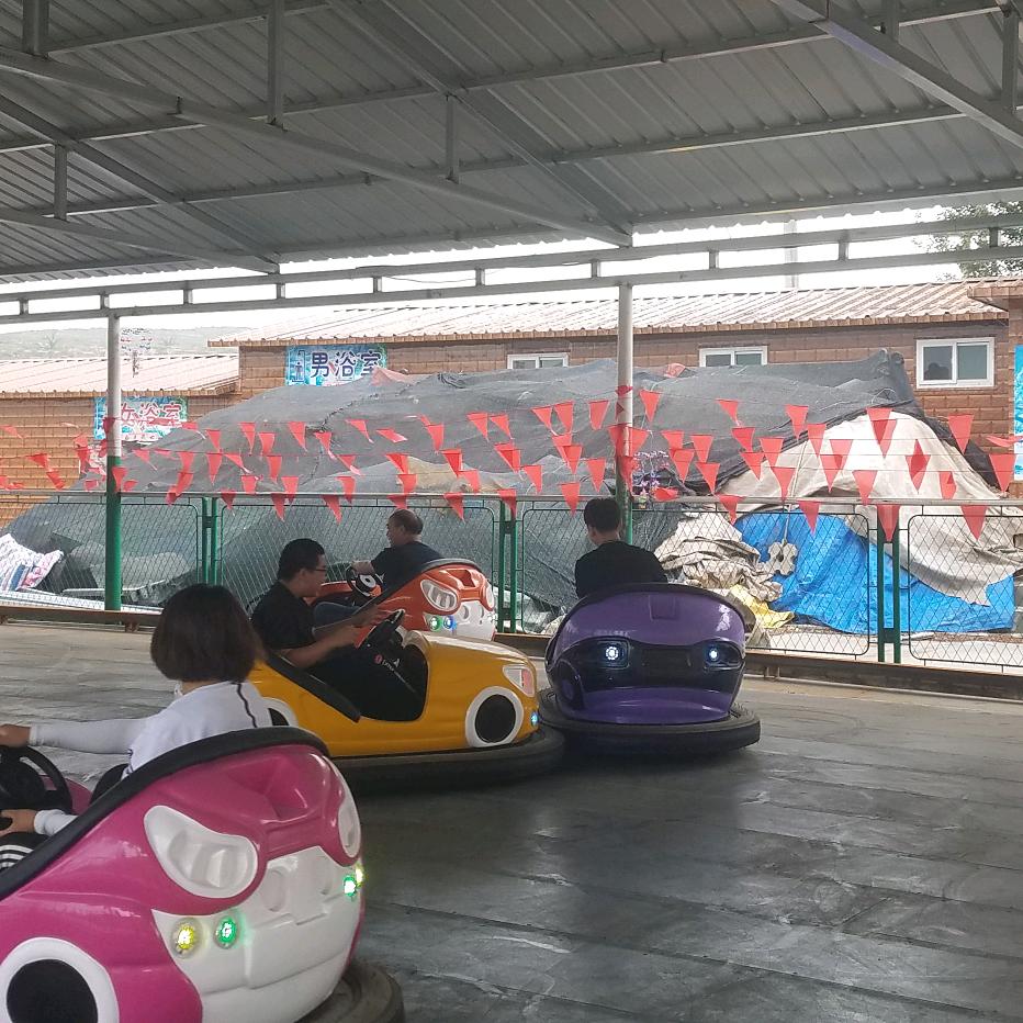 幸福的小虫虫