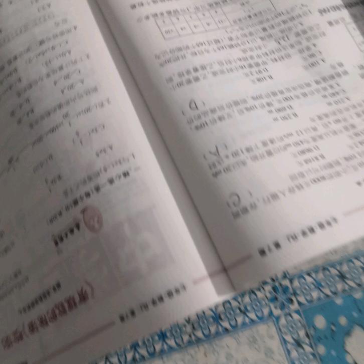 胖妞