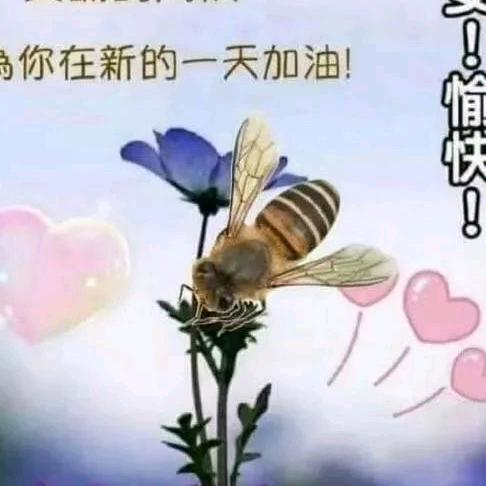执着