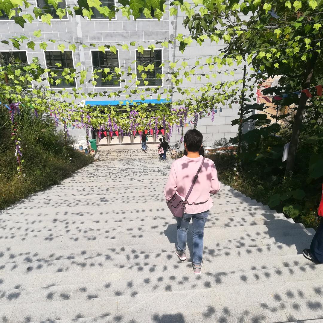 专业卖车换电池