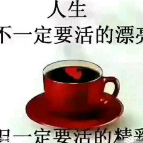 带刺的仙人掌