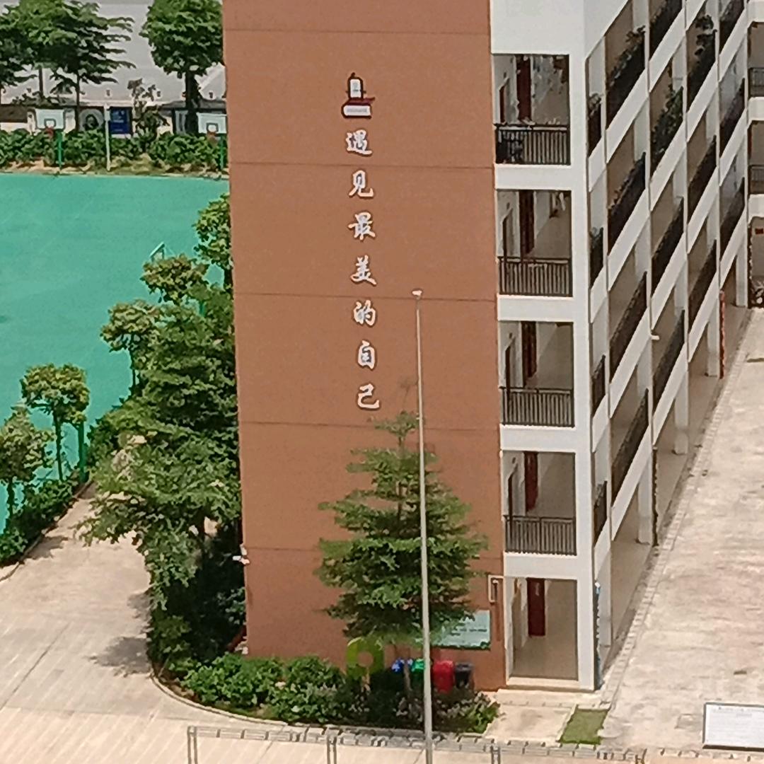 青怱岁月