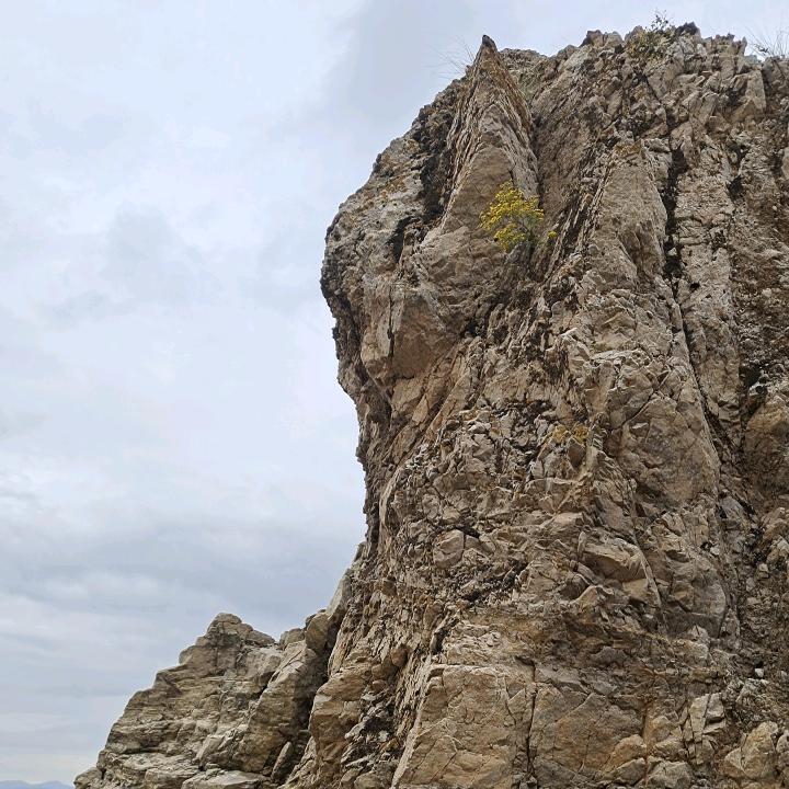 清风