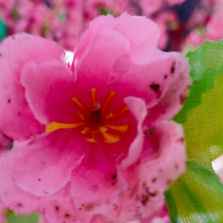 知足常乐，