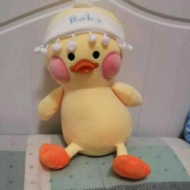 考研竞赛凯哥