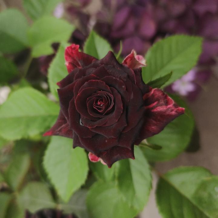 秋の夜