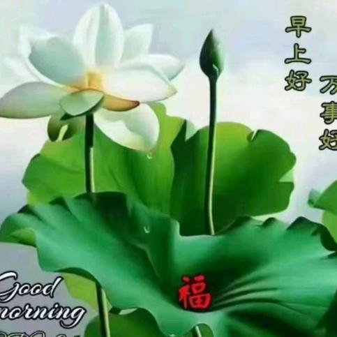 万事兴: