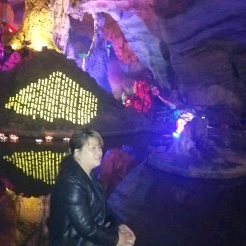 林中小鸟