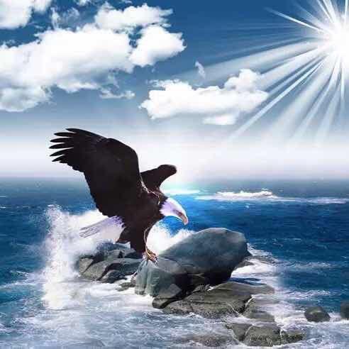 碧海🐍蓝天🐉