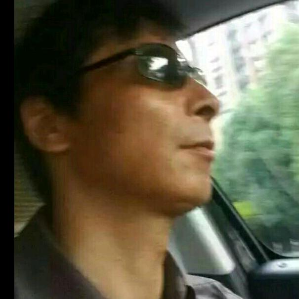 岁在龙蛇