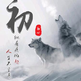 大家杂谈搬运工头像