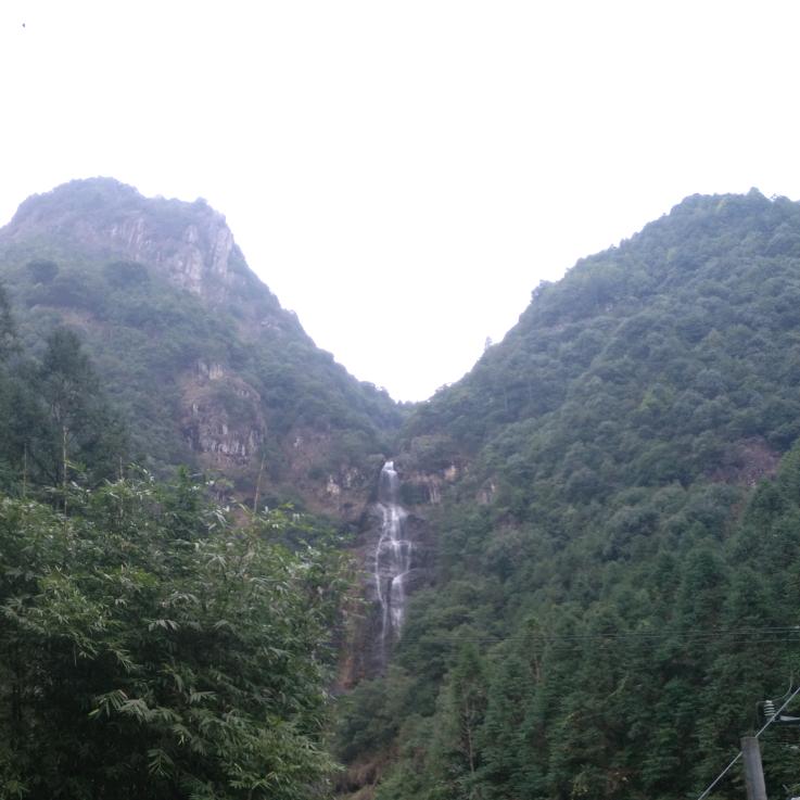悟道家