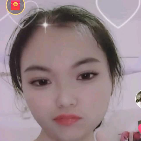 昔向卉