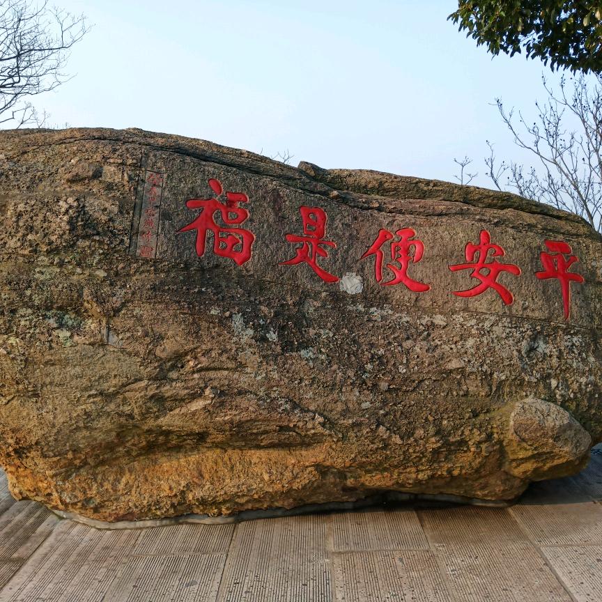 诚心8028