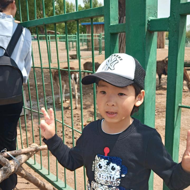 张焱