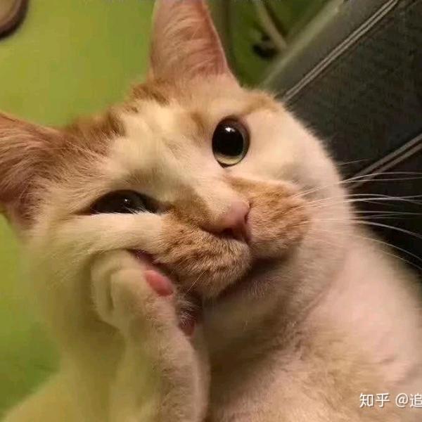 环城未来窝勒个❌他真的拿出了鞭炮bopa