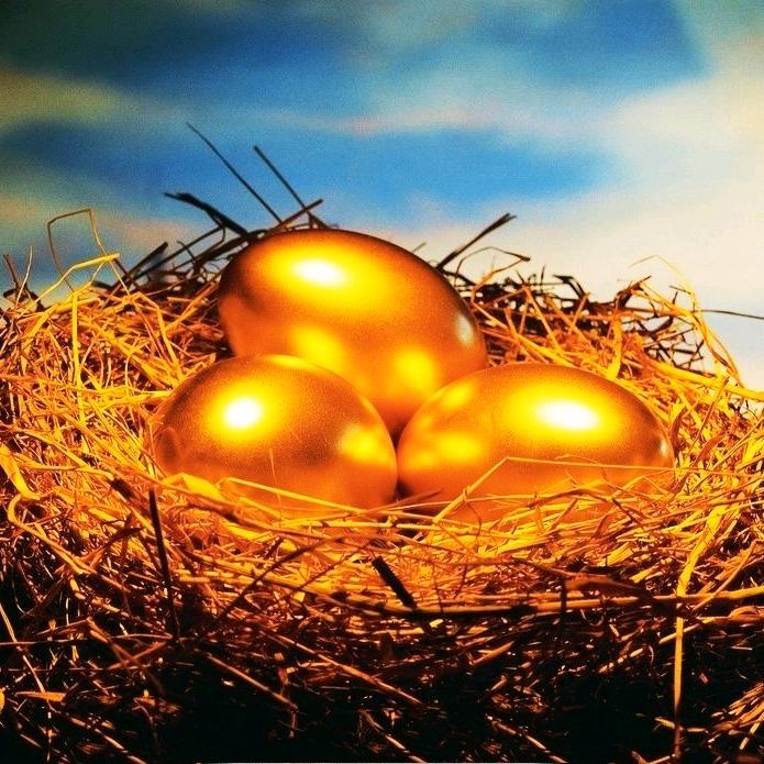 一只松鼠🌳🐿