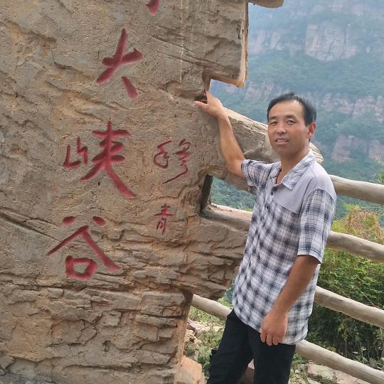 西瓜种植