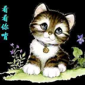 熊猫