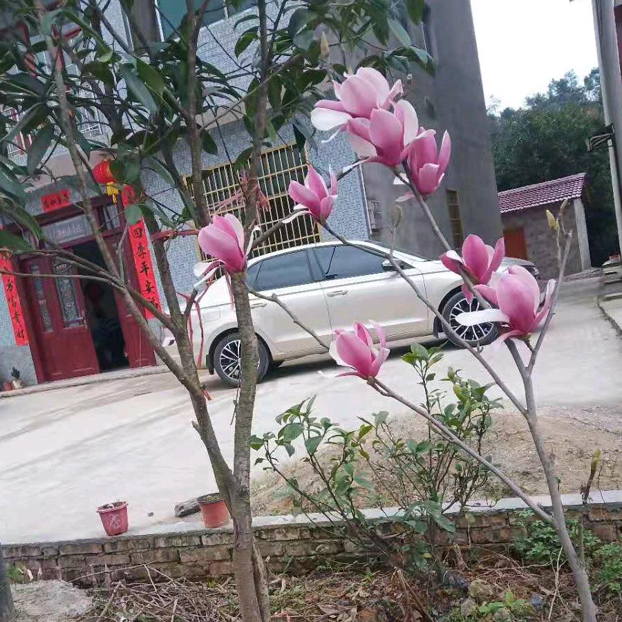 何海鸿