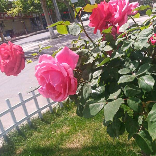 愿明天的天空更蓝