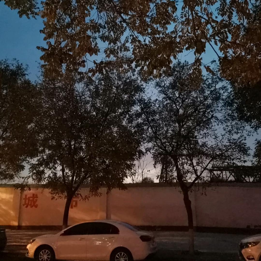 雨濛