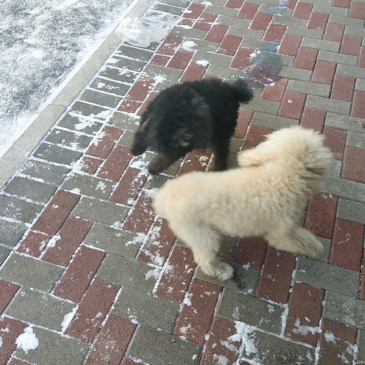 健康与快乐