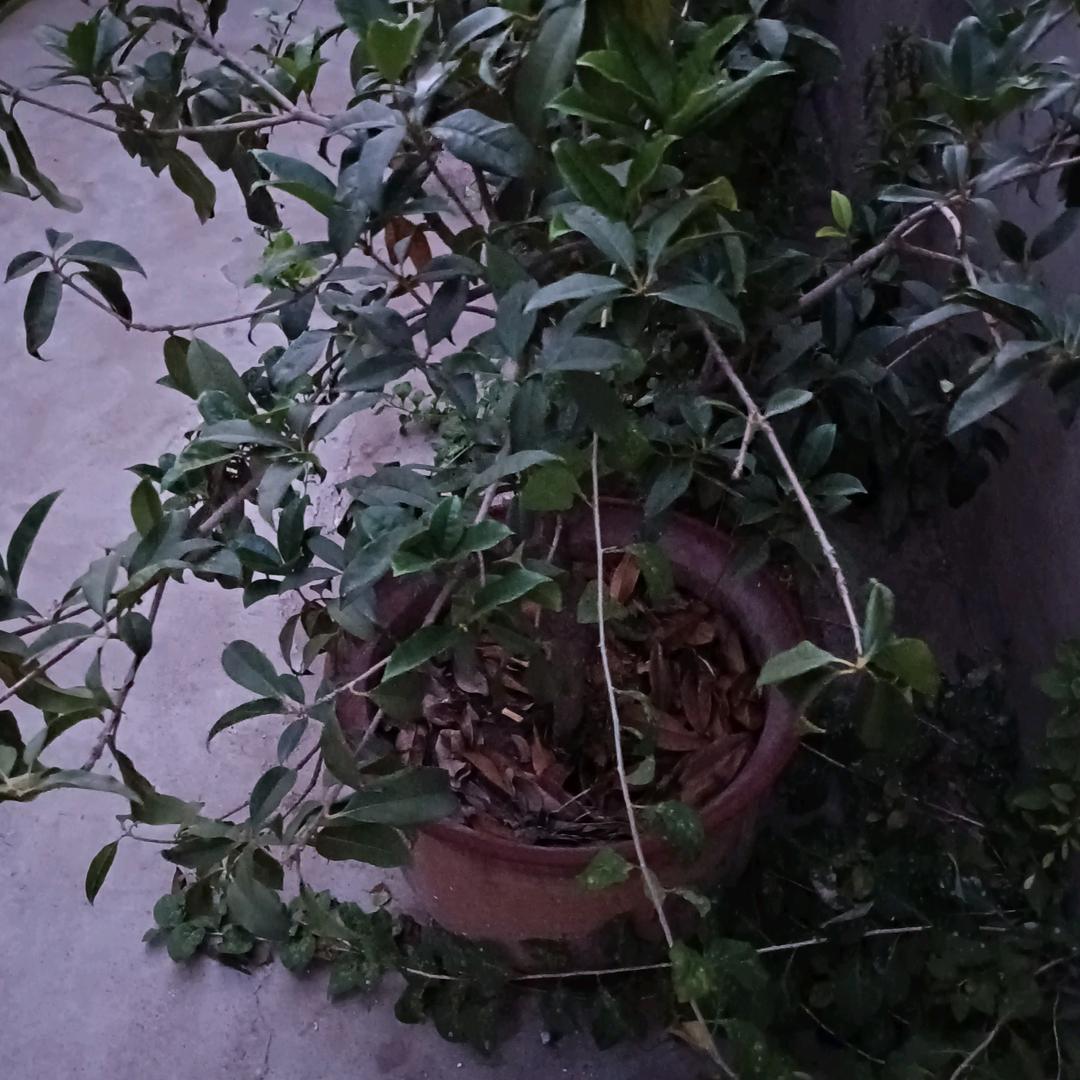 用户独闯天涯