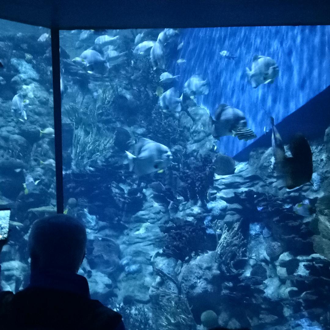 💞࿐姐ღ᭄是限量版᭄💞࿐