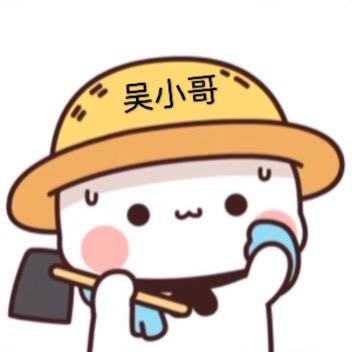 吴先森干装修